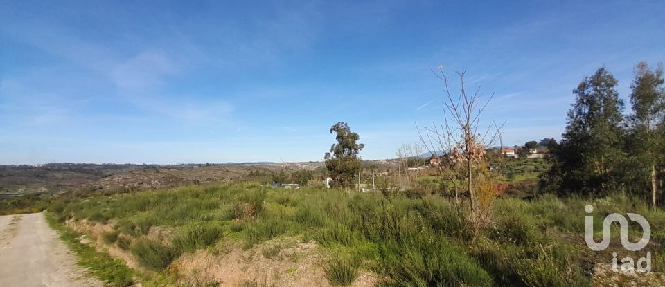 Terrain à Oliveira do Hospital e São Paio de Gramaços de 24 500 m²