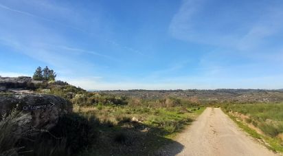 Terrain à Oliveira do Hospital e São Paio de Gramaços de 24 500 m²