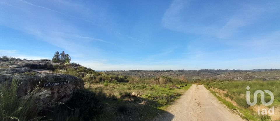 Terrain à Oliveira do Hospital e São Paio de Gramaços de 24 500 m²