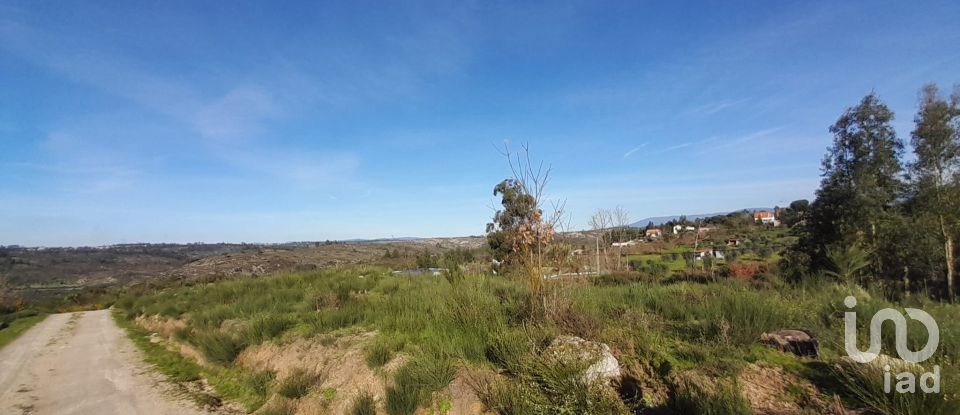 Terrain à Oliveira do Hospital e São Paio de Gramaços de 24 500 m²