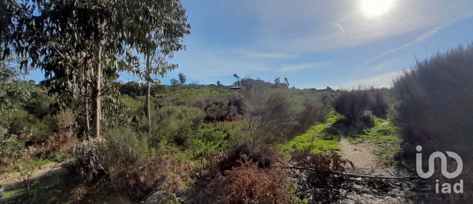 Terrain à Oliveira do Hospital e São Paio de Gramaços de 24 500 m²