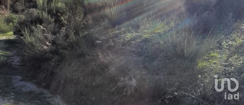 Terrain à Oliveira do Hospital e São Paio de Gramaços de 24 500 m²