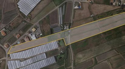 Terrain à A dos Cunhados e Maceira de 27 720 m²