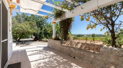 Ferme T7 à Luz de Tavira e Santo Estêvão de 421 m²