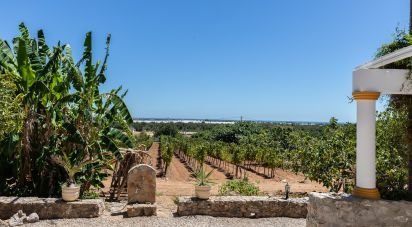 Ferme T7 à Luz de Tavira e Santo Estêvão de 421 m²