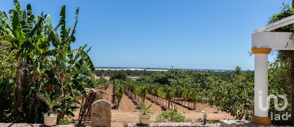 Ferme T7 à Luz de Tavira e Santo Estêvão de 421 m²