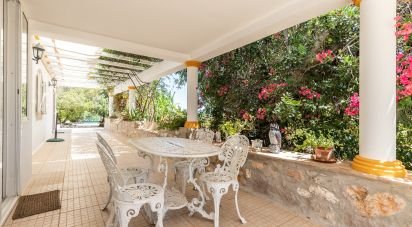 Ferme T7 à Luz de Tavira e Santo Estêvão de 421 m²