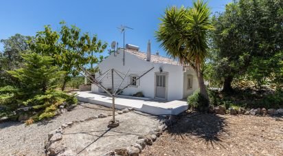 Ferme T7 à Luz de Tavira e Santo Estêvão de 421 m²