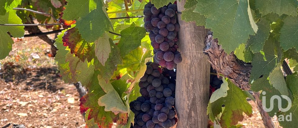 Ferme T7 à Luz de Tavira e Santo Estêvão de 421 m²