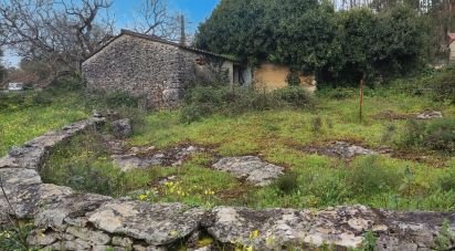 Gîte T2 à Aljubarrota de 64 m²