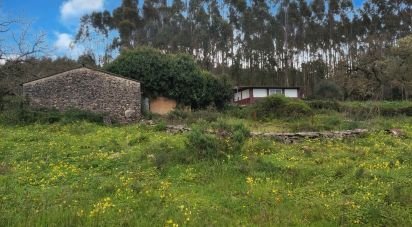 Gîte T2 à Aljubarrota de 64 m²