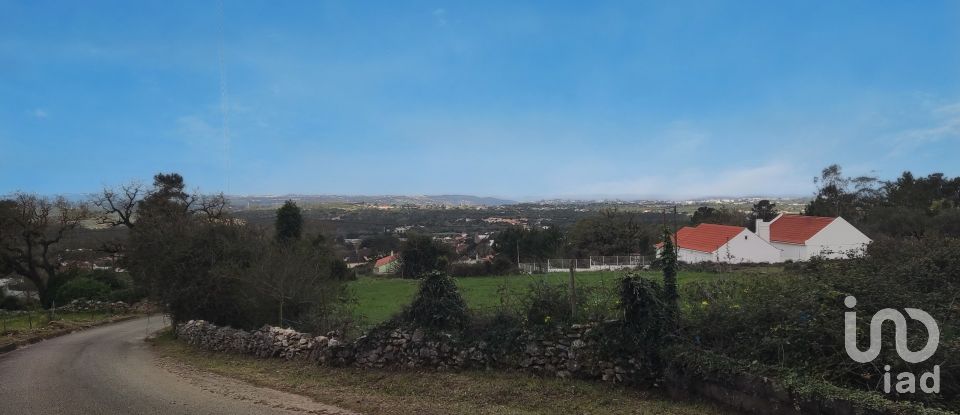 Gîte T2 à Aljubarrota de 64 m²