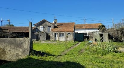 Gîte T0 à Vila do Conde de 486 m²