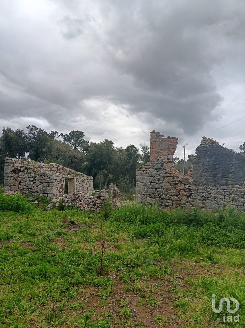 Terrain à Aljubarrota de 1 504 m²