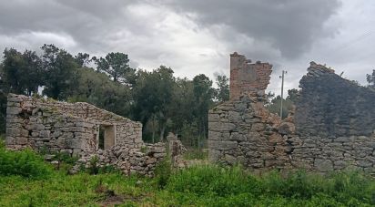 Terrain à Aljubarrota de 1 504 m²