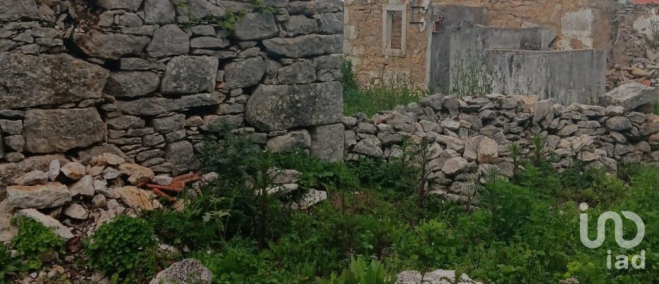 Terrain à Aljubarrota de 1 504 m²