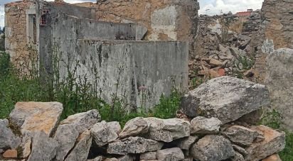 Terrain à Aljubarrota de 1 504 m²