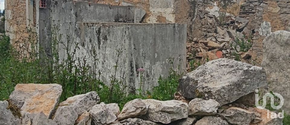 Terrain à Aljubarrota de 1 504 m²