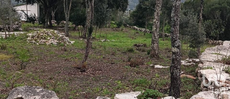 Terrain à Aljubarrota de 1 504 m²