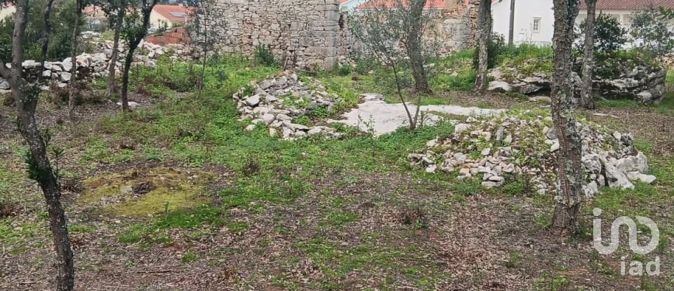 Terrain à Aljubarrota de 1 504 m²