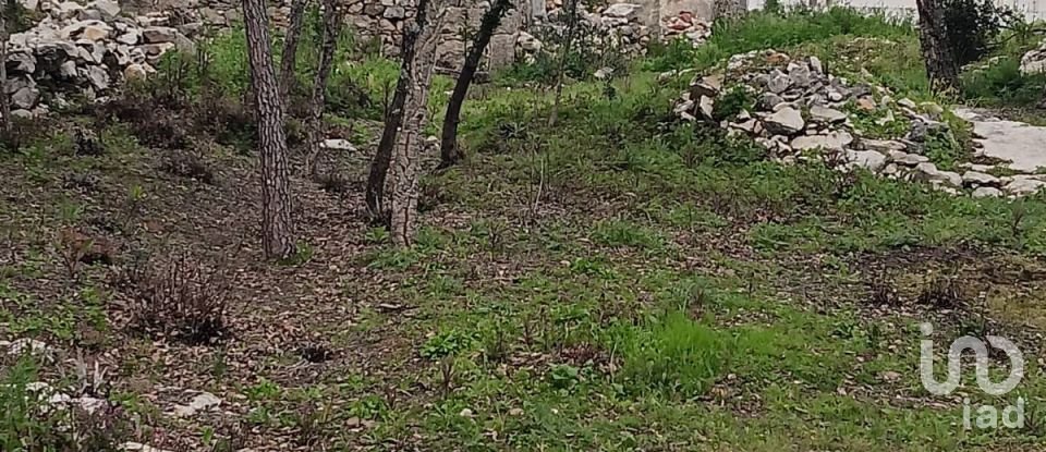 Terrain à Aljubarrota de 1 504 m²