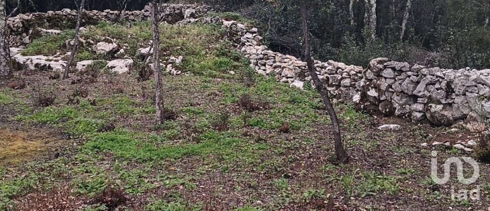 Terrain à Aljubarrota de 1 504 m²