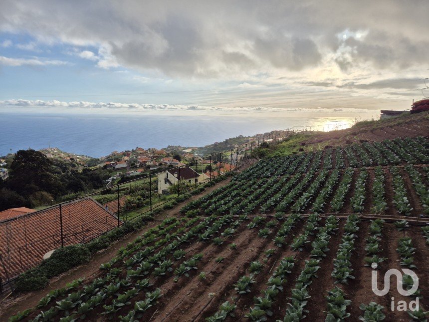 Terrain à Canhas de 1 482 m²