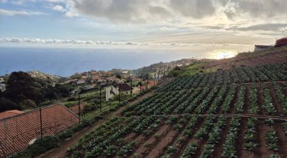 Terrain à Canhas de 1 482 m²