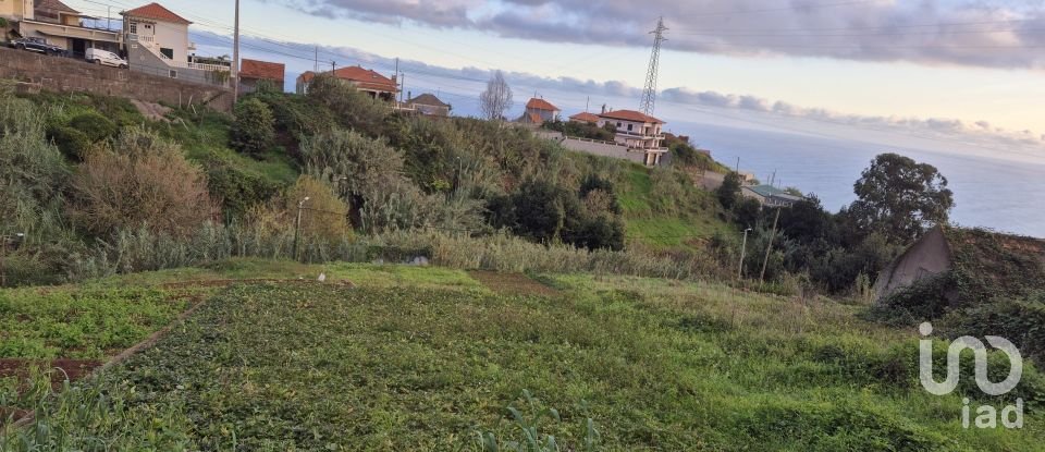 Terrain à Canhas de 1 482 m²