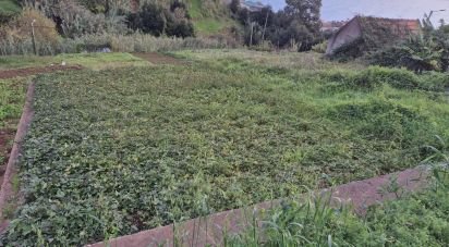 Terrain à Canhas de 1 482 m²