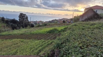 Terrain à Canhas de 1 482 m²