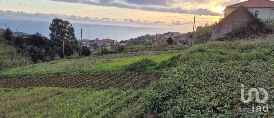 Terrain à Canhas de 1 482 m²
