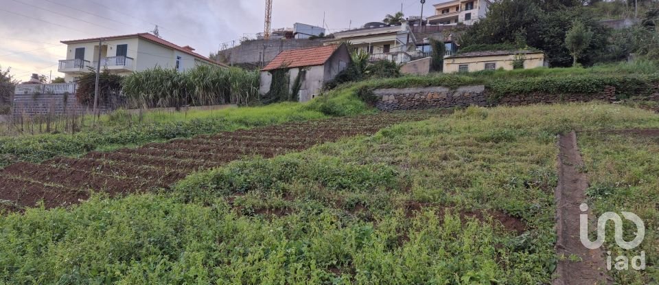 Terrain à Canhas de 1 482 m²