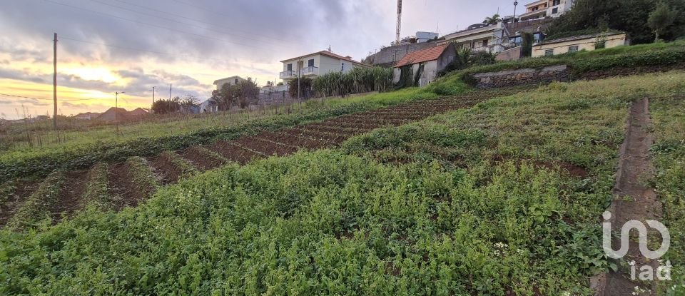 Terrain à Canhas de 1 482 m²