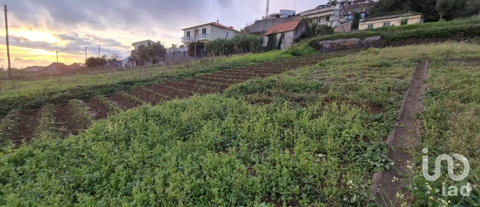 Terrain à Canhas de 1 482 m²
