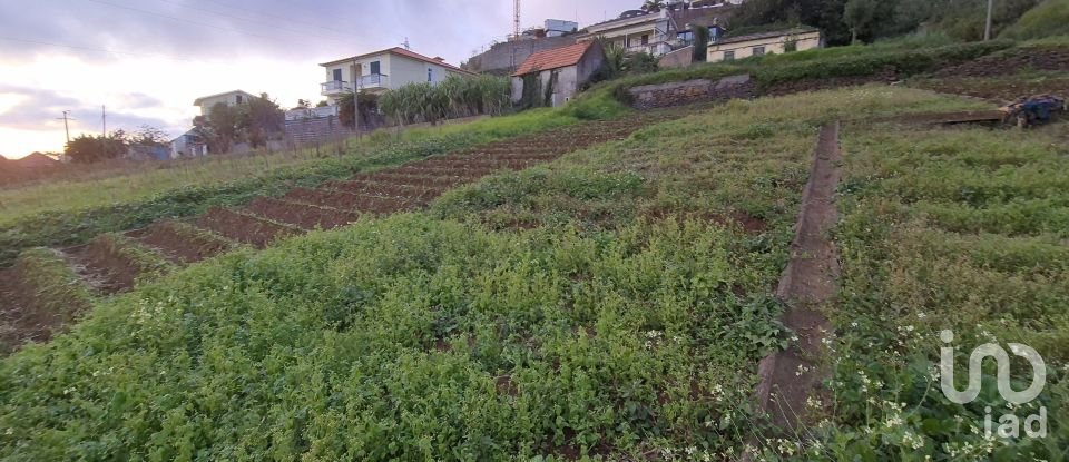 Terrain à Canhas de 1 482 m²