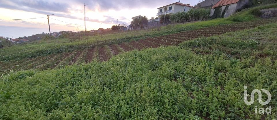 Terrain à Canhas de 1 482 m²