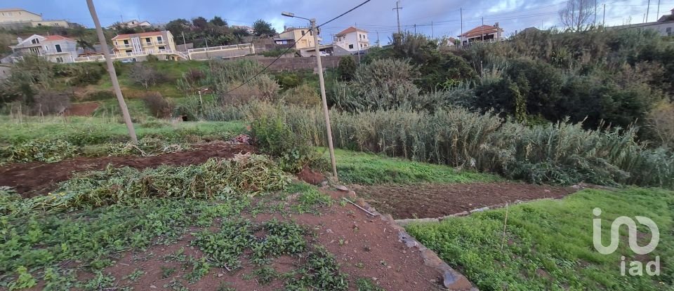 Terrain à Canhas de 1 482 m²