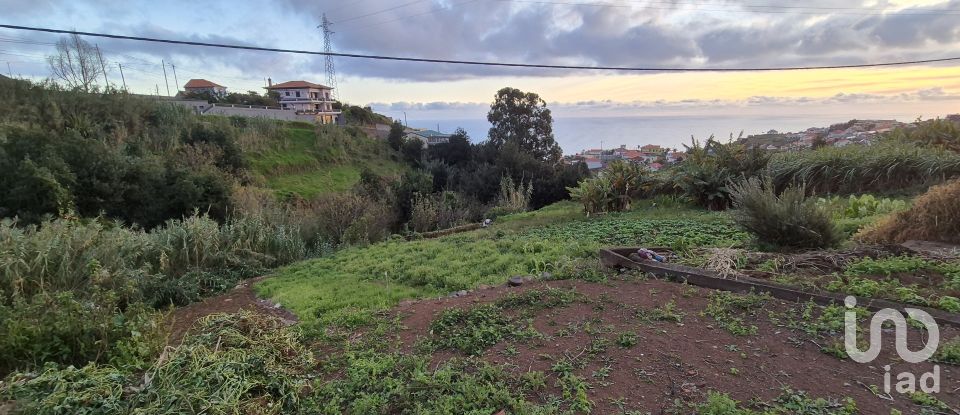 Terrain à Canhas de 1 482 m²