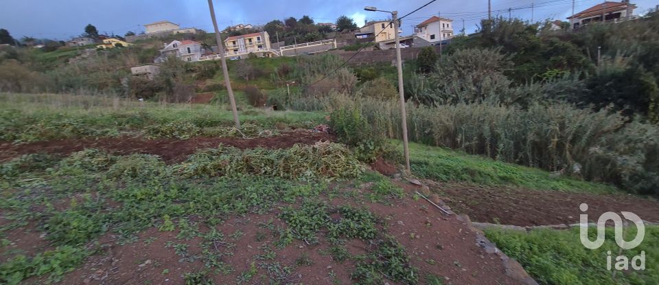 Terrain à Canhas de 1 482 m²