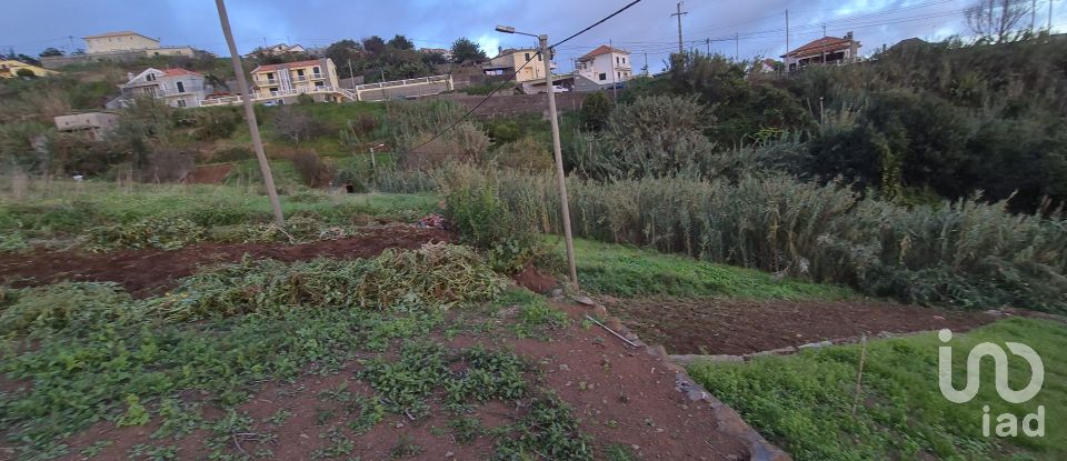 Terrain à Canhas de 1 482 m²