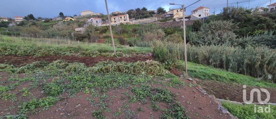 Terrain à Canhas de 1 482 m²