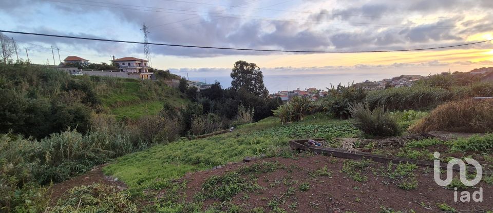 Terrain à Canhas de 1 482 m²