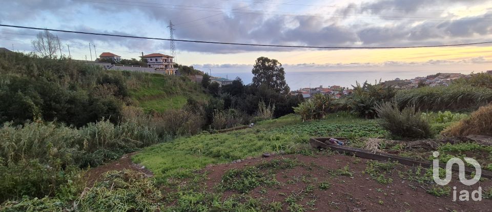 Terrain à Canhas de 1 482 m²