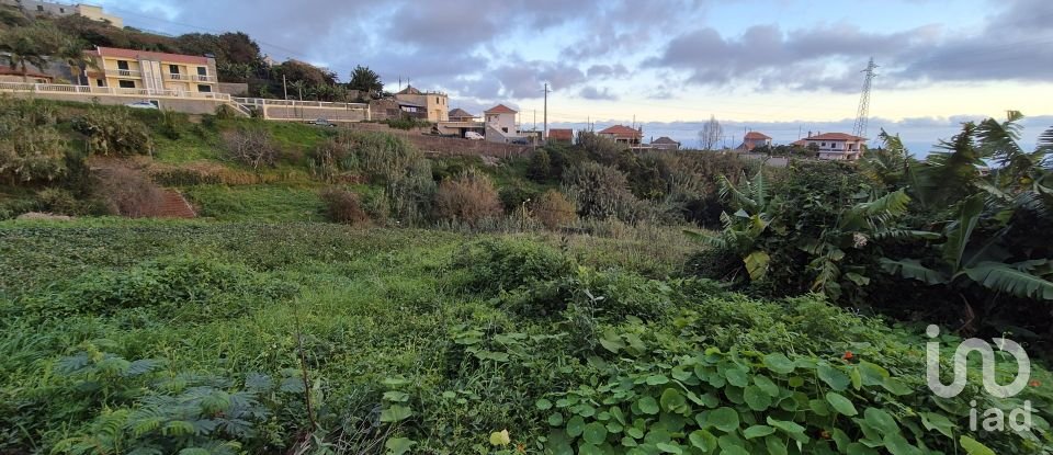 Terrain à Canhas de 1 482 m²