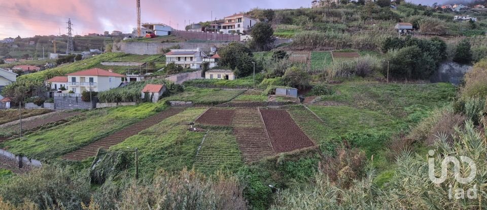 Terrain à Canhas de 1 482 m²