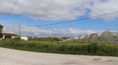 Terrain à A dos Cunhados e Maceira de 27 720 m²