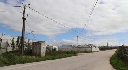 Terrain à A dos Cunhados e Maceira de 27 720 m²