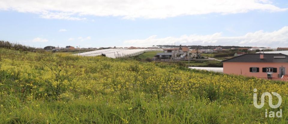 Terreno em A dos Cunhados e Maceira de 27 720 m²