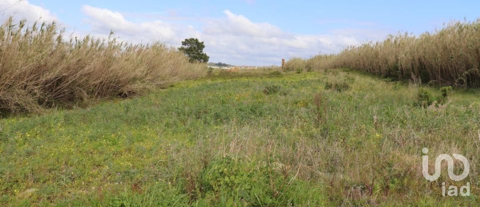 Terreno em A dos Cunhados e Maceira de 27 720 m²
